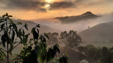 Trilha Agroecológica do Sítio Giggio Pizzol